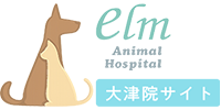 大津院・7月 エキゾチックアニマル診療のご案内